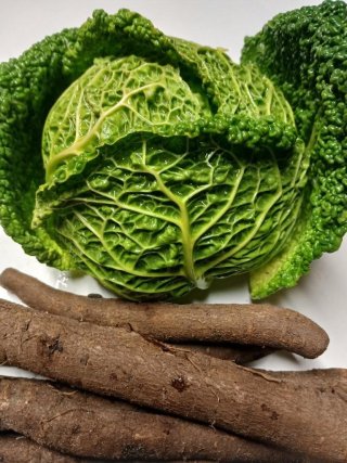 Schwarzwurzel-Wirsing Gemüse mit Penne